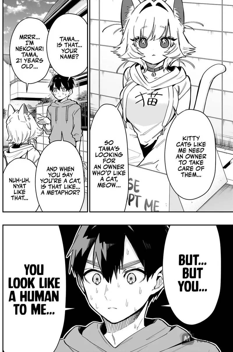 Page 4 of Chapter 141: The Cat That Wants to Be Adopted