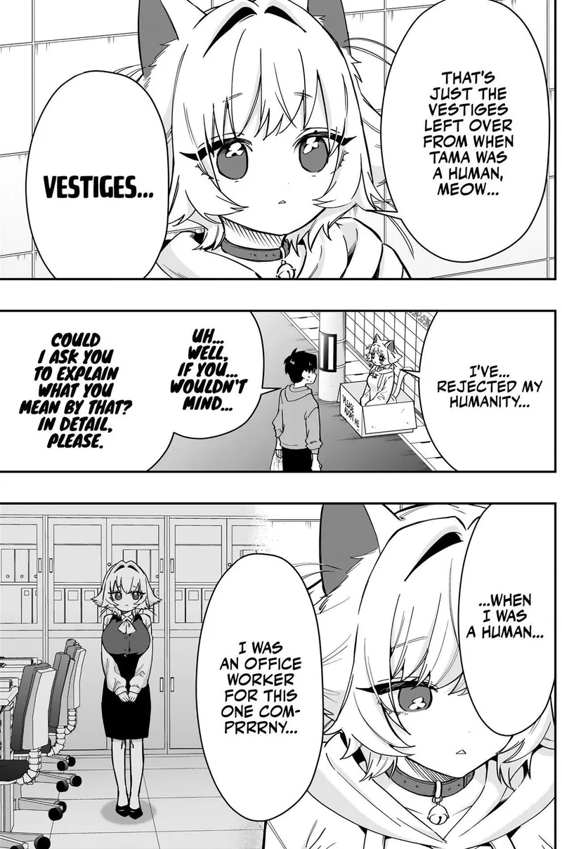 Page 5 of Chapter 141: The Cat That Wants to Be Adopted