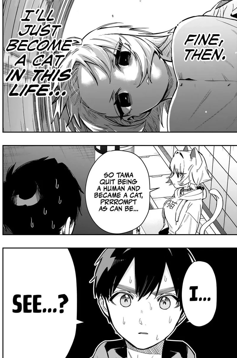 Page 8 of Chapter 141: The Cat That Wants to Be Adopted