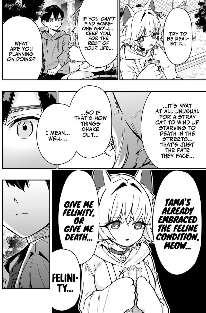 Page 12 of Chapter 141: The Cat That Wants to Be Adopted