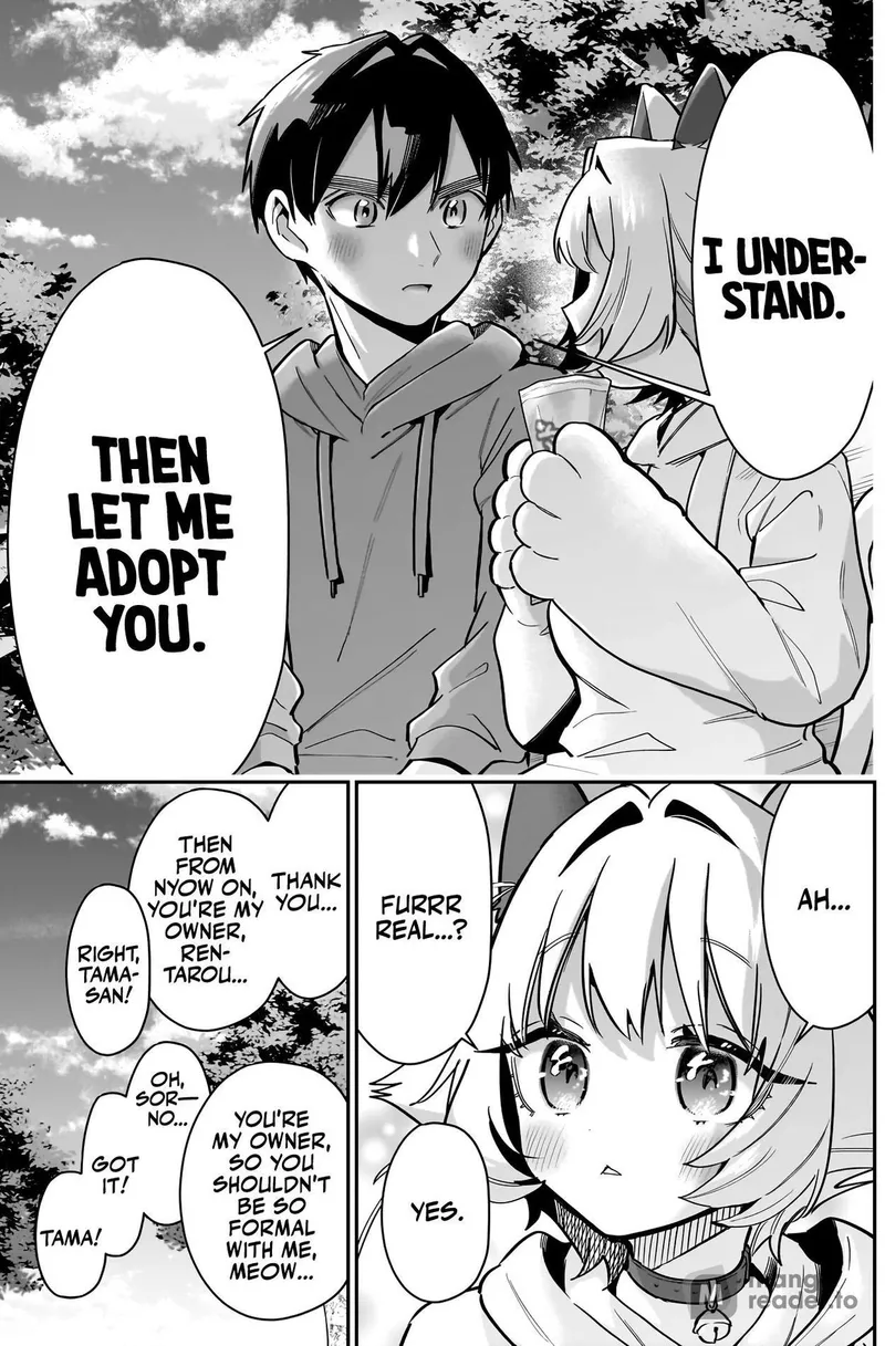 Page 13 of Chapter 141: The Cat That Wants to Be Adopted